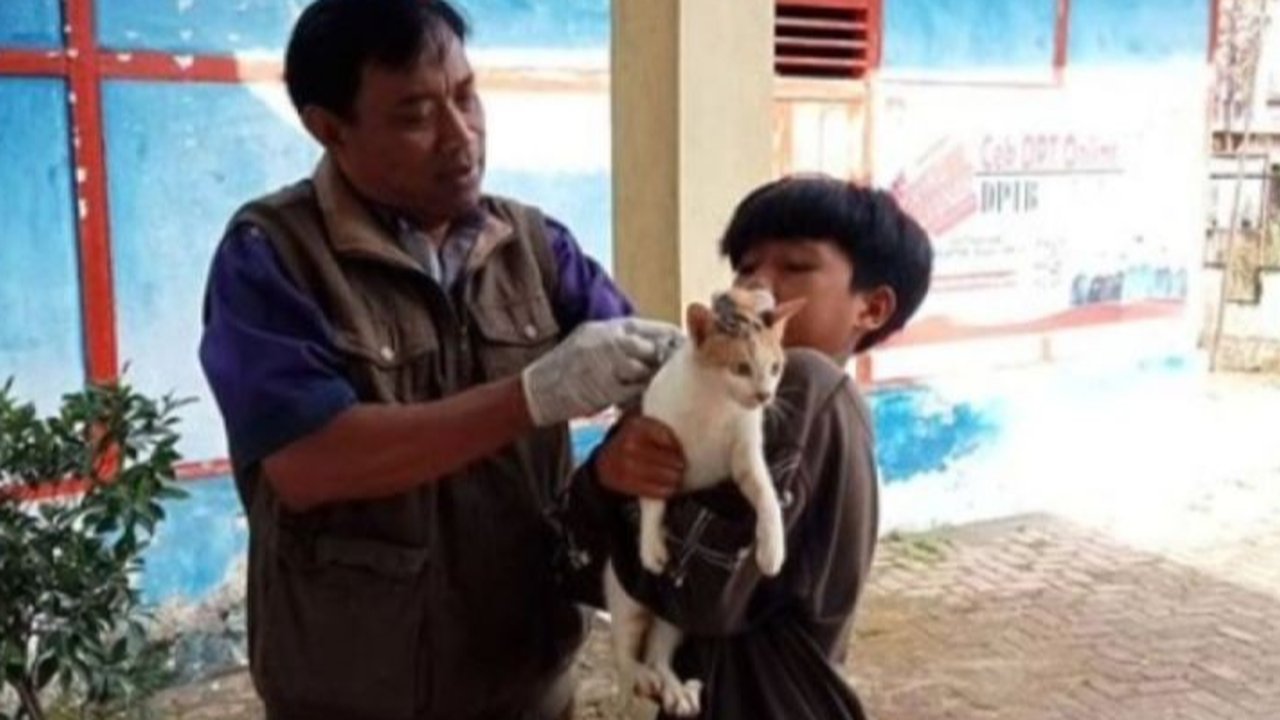 Pemerintah Kabupaten Rejang Lebong, Bengkulu, menyiapkan 5.000 dosis vaksin anti-rabies untuk mencegah penyebaran penyakit rabies pada hewan penular rabies (HPR) seperti anjing, kucing, dan kera.