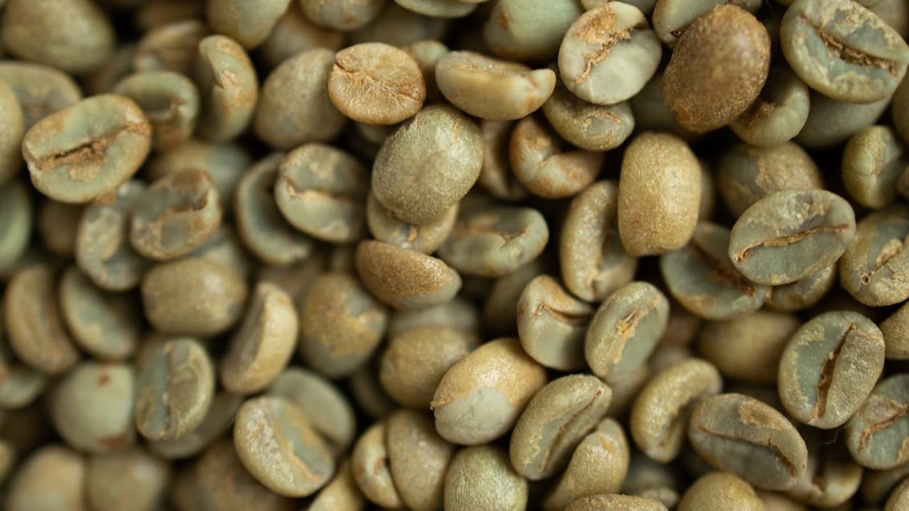 Ilustrasi Kopi Hijau