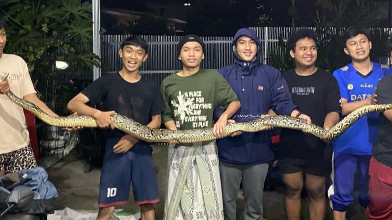 10 Cara Mudah Mengusir Ular dari Rumah dan Tenda di Hutan, Ternyata Mudah Tak Bahaya