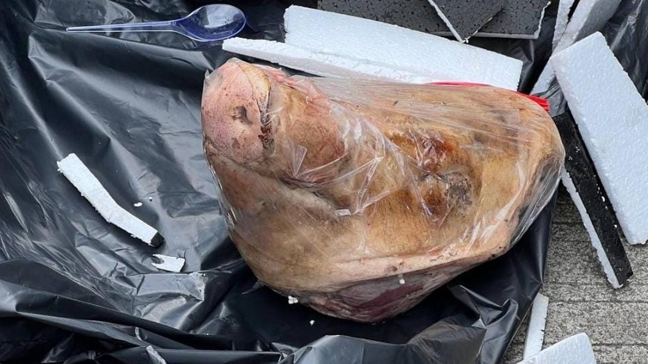 Jurnalis Tempo Diteror Kiriman Kepala Babi