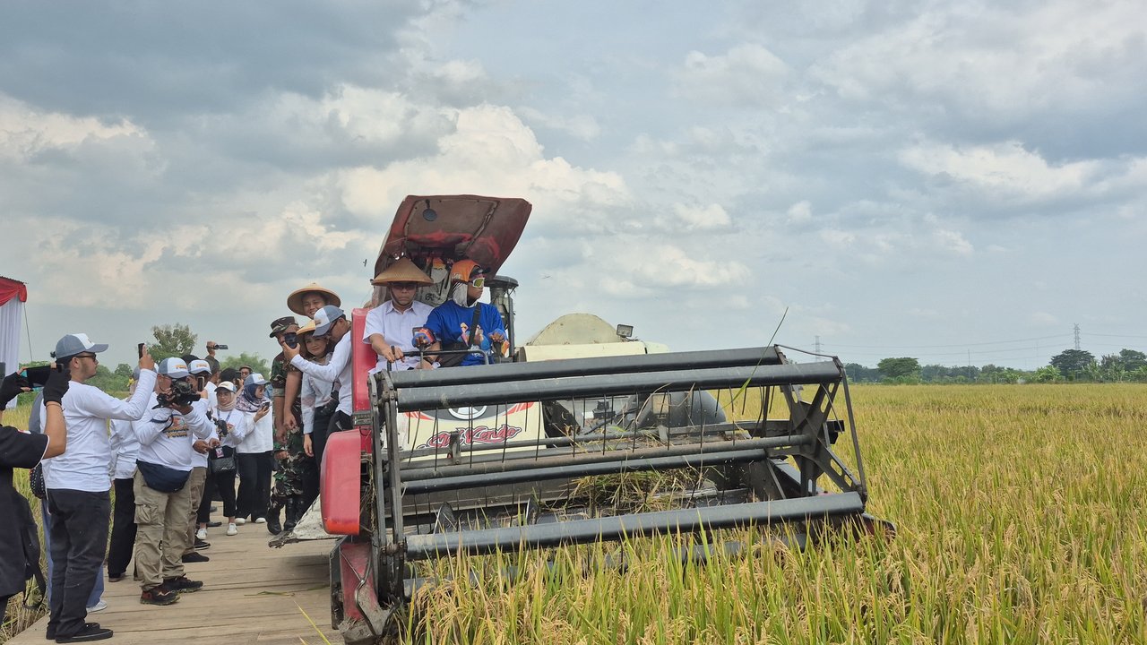 Bulog Catat Telah Serap 400.000 Ton Gabah dan Beras Petani per Maret 2025