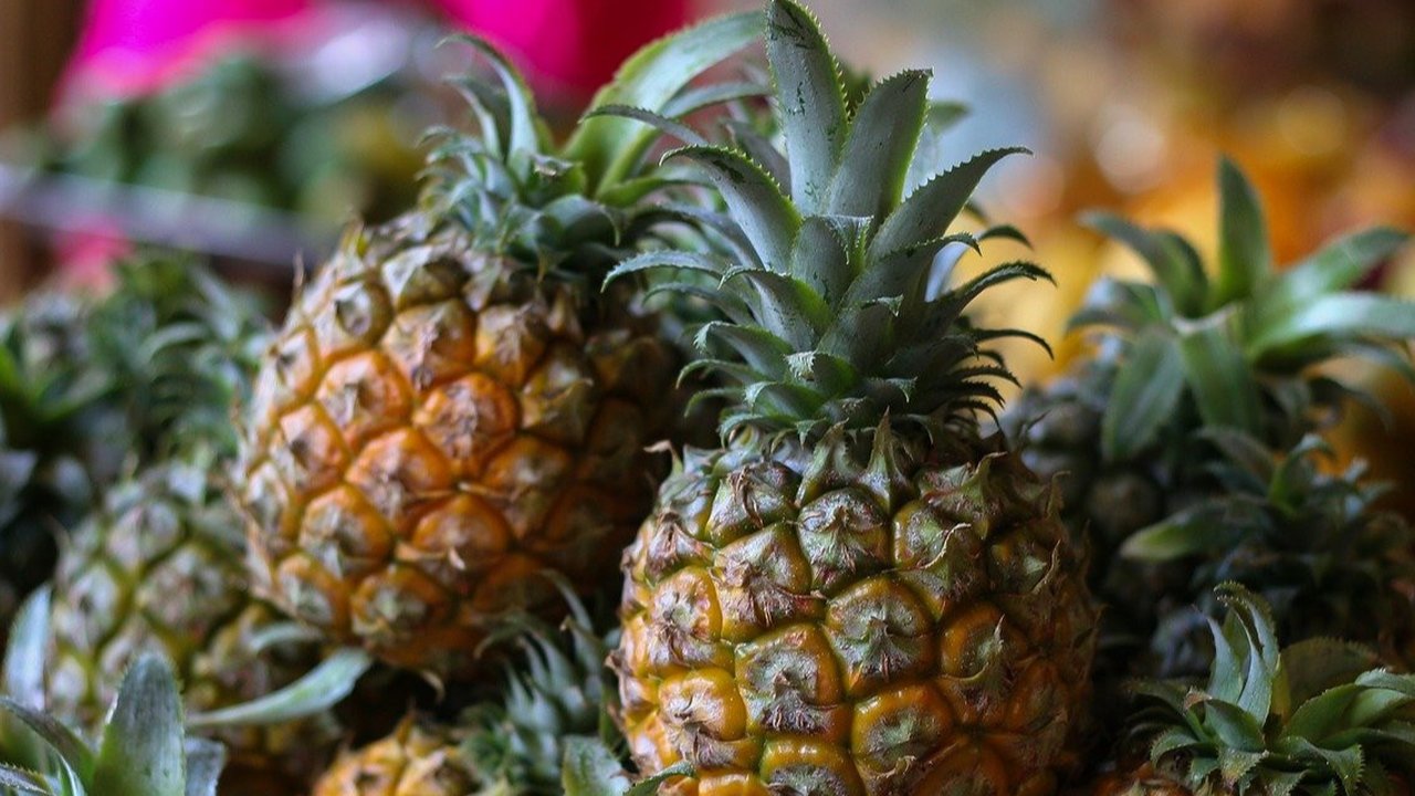 Ilustrasi nanas. (Dok. Anastasia Gepp/Pixabay)