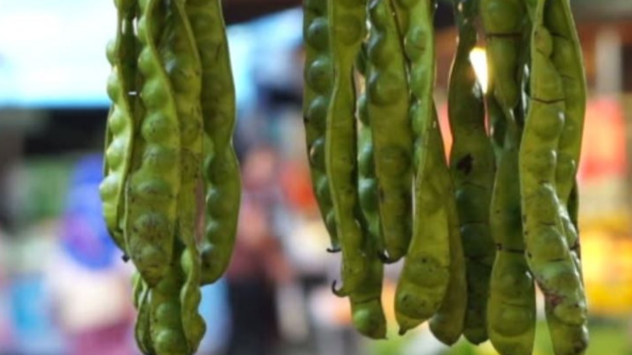 ilustrasi petai (iStock Photo)