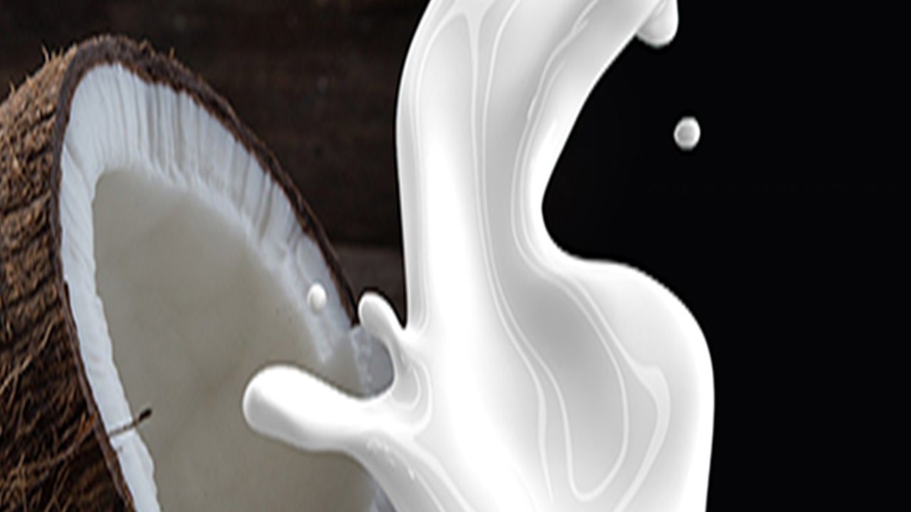 Ilustrasi santan (Sumber: Pixabay/LisaRedfern)