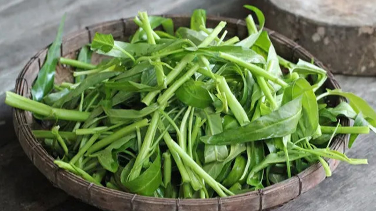 5 Ide Olahan Kangkung yang Murah dan Sehat untuk Makan Siang Ala Rumahan | copyright freepik