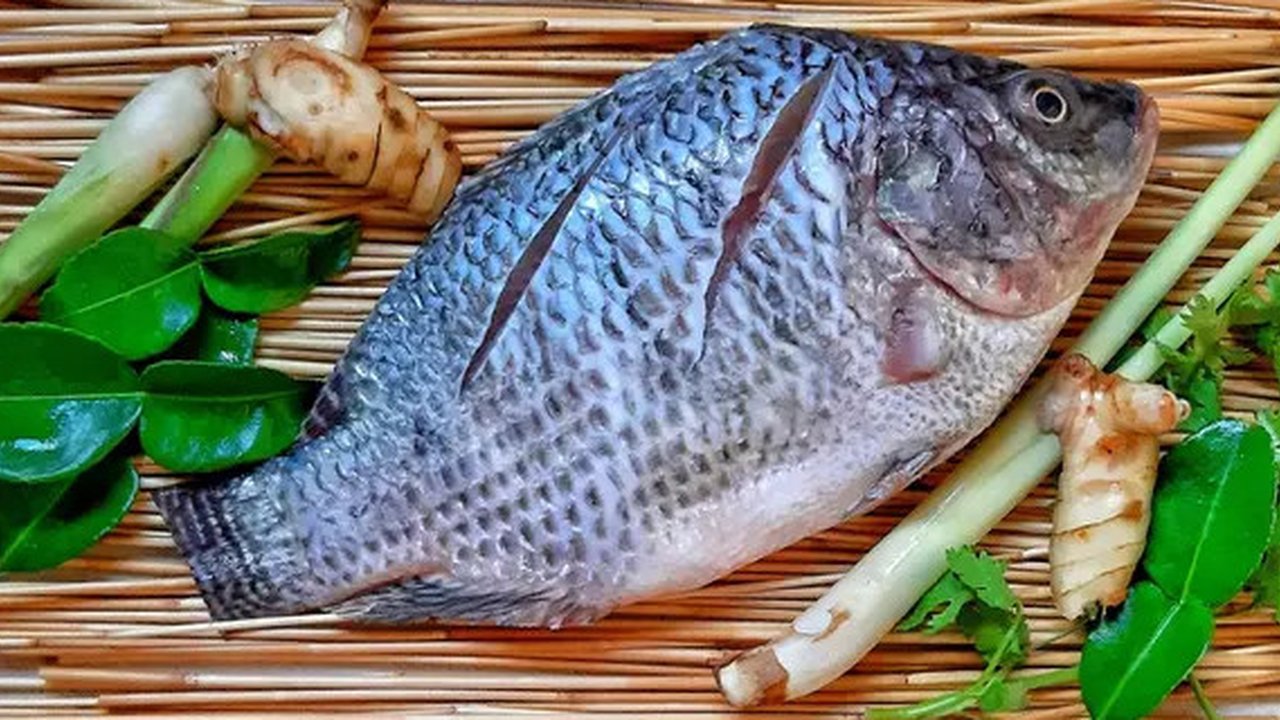 Pesmol Ikan Nila (fimela.com)