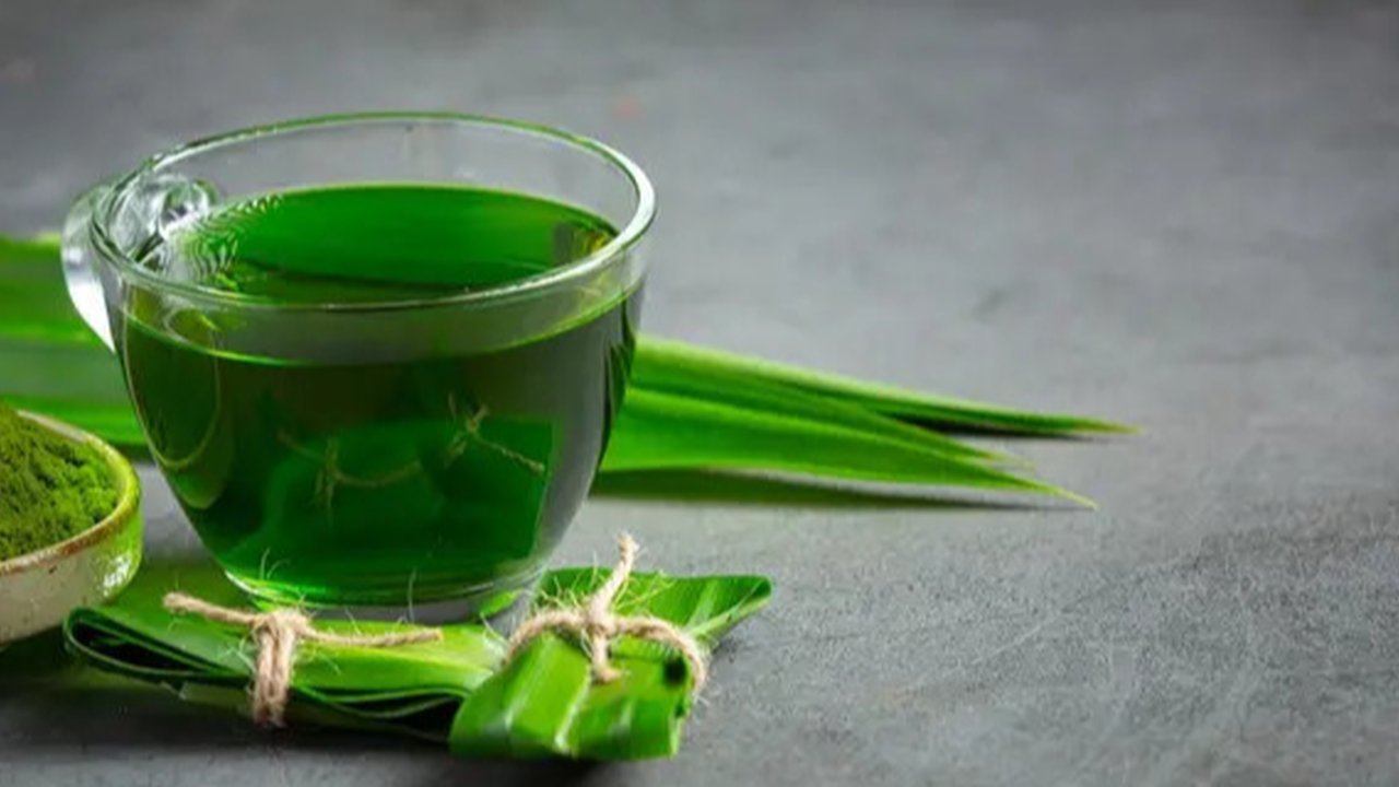 Resep Kue Nona Manis Pandan Takaran Gelas./Youtube.com/Bersama Stfyani