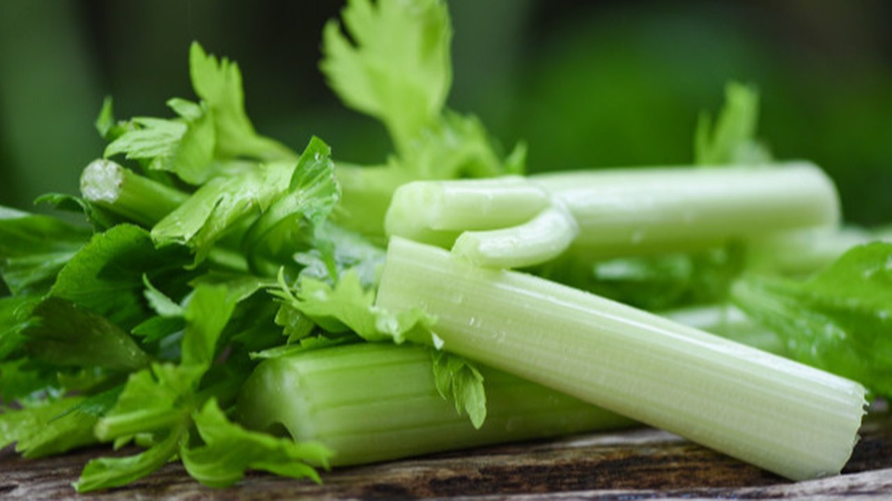 Ilustrasi Daun Seledri Credit: pexels.com/pixabay