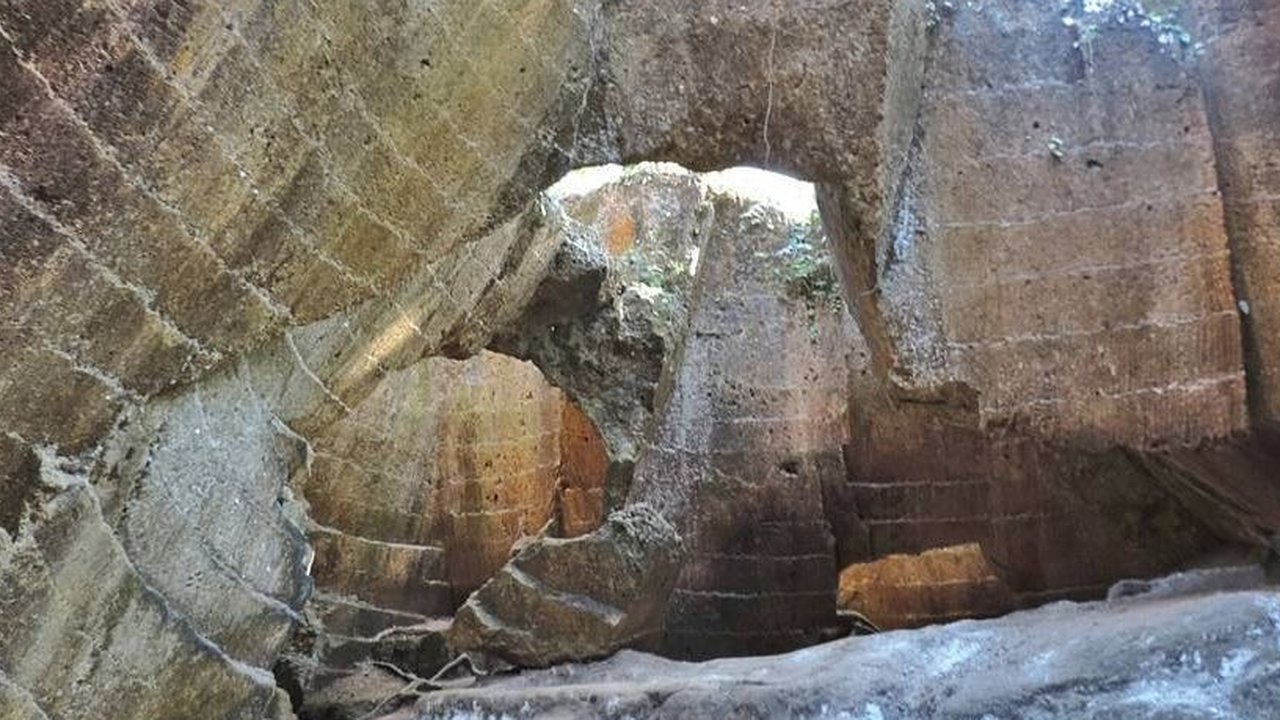 Berkat Hewan Ini, Ilmuwan Jadi Tahu Makhluk yang Tinggal di Gua Bisa Buta Seiring Waktu