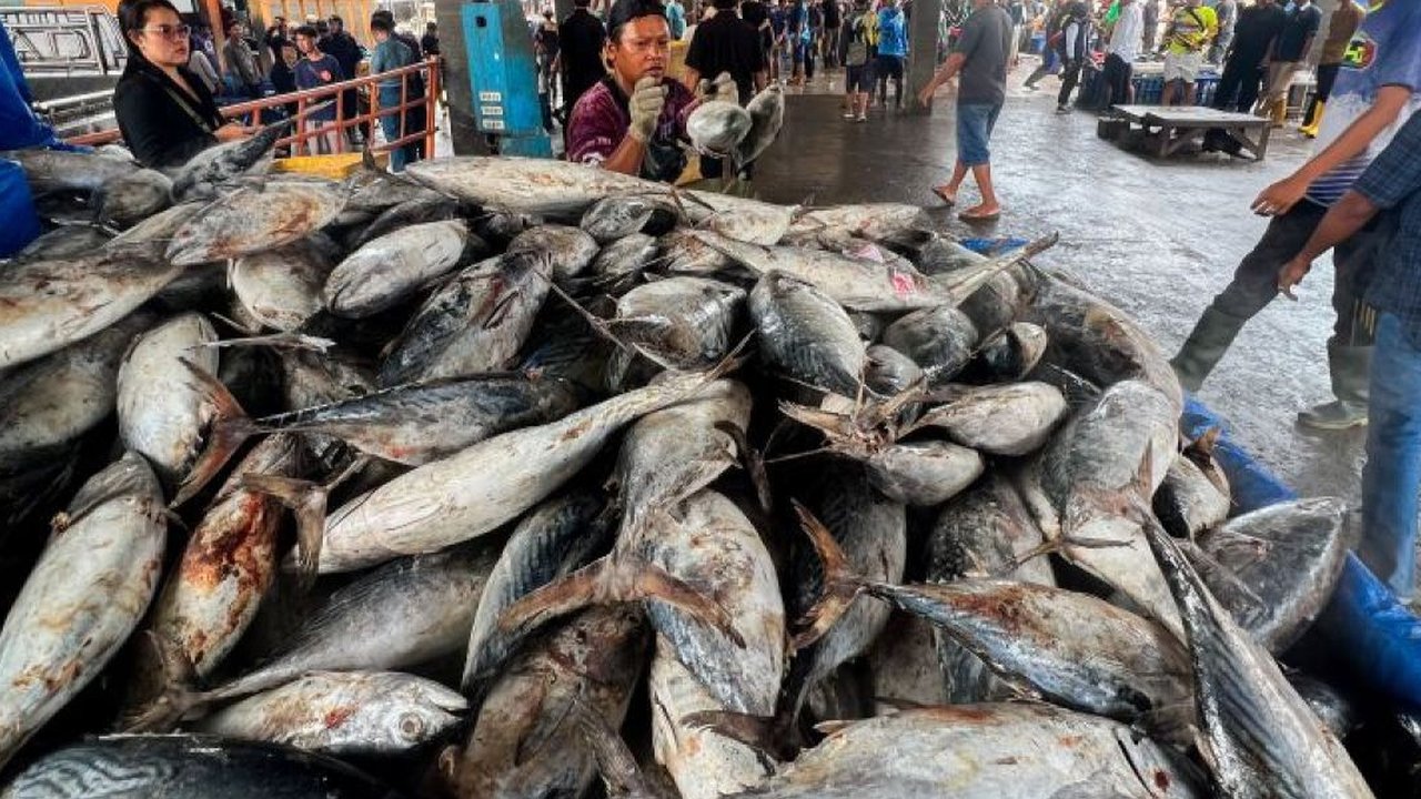 Badan Pangan Nasional (Bapanas) mencatat harga sejumlah komoditas pangan secara umum mayoritas turun, ikan tongkol menjadi Rp32.050 per kilogram (kg) dan ...