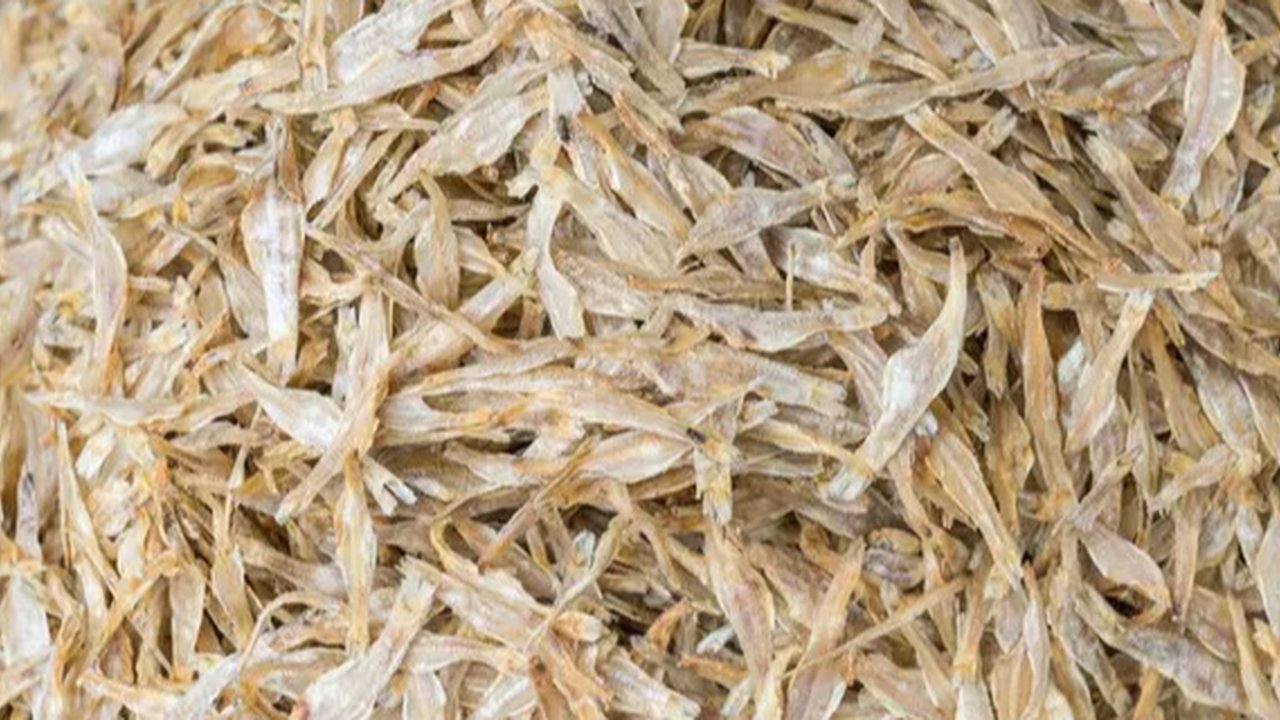 Ikustrasi Ikan Bilis atau Teri Medan / Freepik by jannoon028