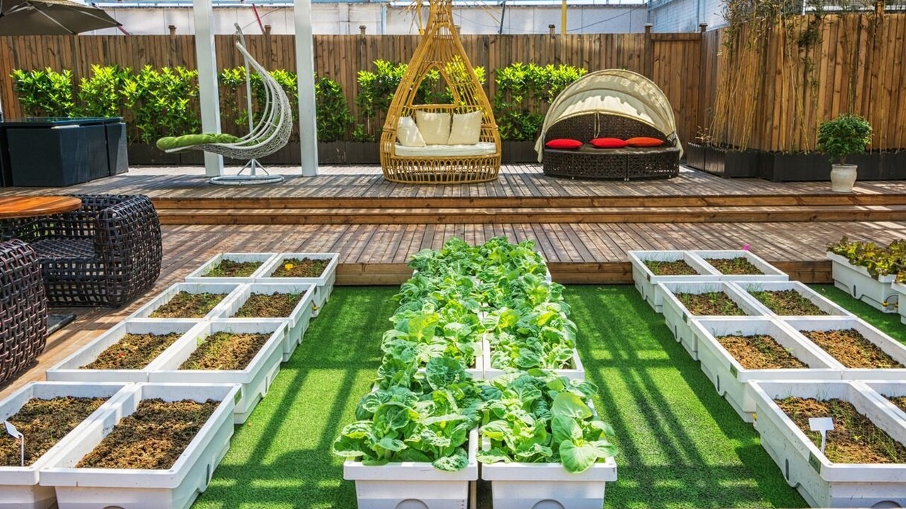 Ilustrasi Rooftop Garden