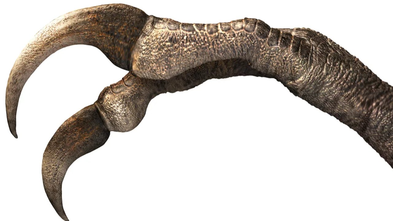 cakar dinosaurus