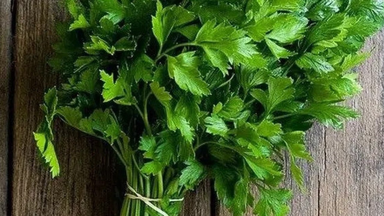 daun seledri (credit: walmart.com)