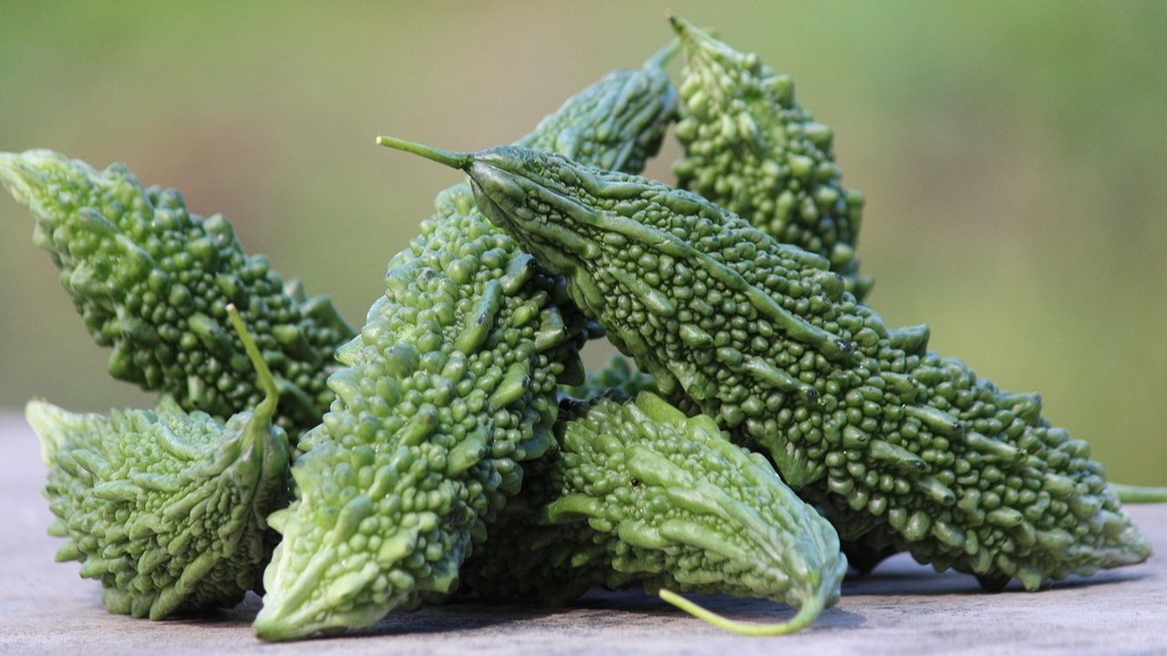 Ilustrasi Pare Pahit