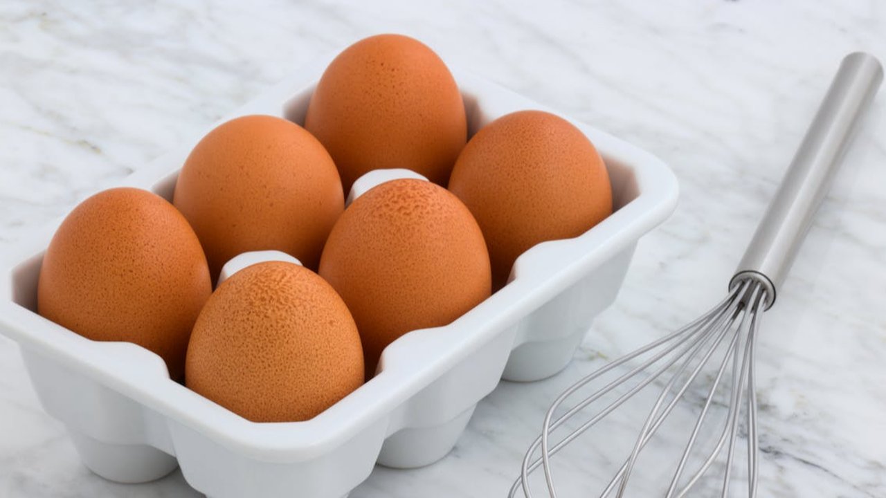 Ilustrasi Telur Ayam