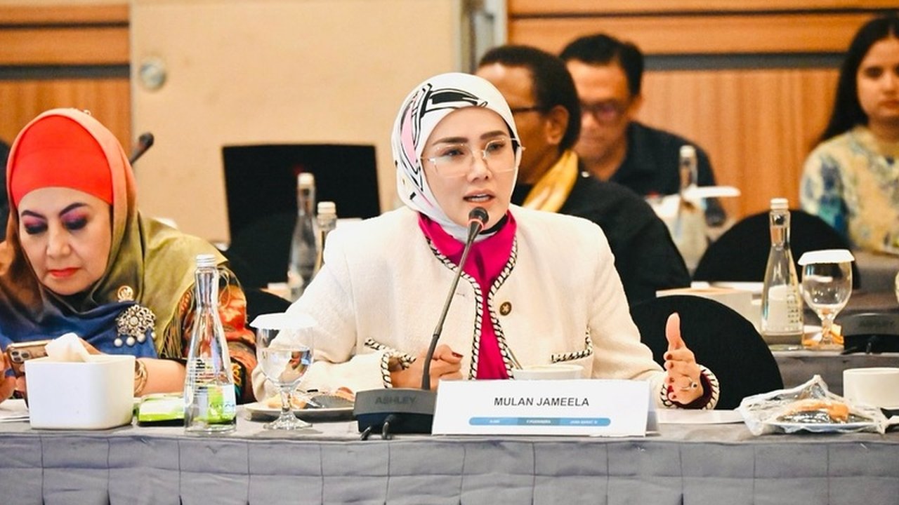 Pada awal pemilihan, dilansir dari tempo.com, Mulan, berada di urutan kelima dengan 24.192 suara sah. Ada tiga caleg Gerindra dari dapil Jabar XI yang lolos ke DPR, yaitu Muhammad Husein Fadlulloh (181.435 suara sah), Subarna (106.600 suara sah), dan Ervin Luthfi (33.938 suara sah). Mulan sendiri berada di urutan kelima di dapil Kabupaten Garut dan Tasikmalaya. Setelah hasil pemilu diumumkan, ia dinyatakan tidak lolos ke Senayan, tapi semangatnya tetap tak padam.