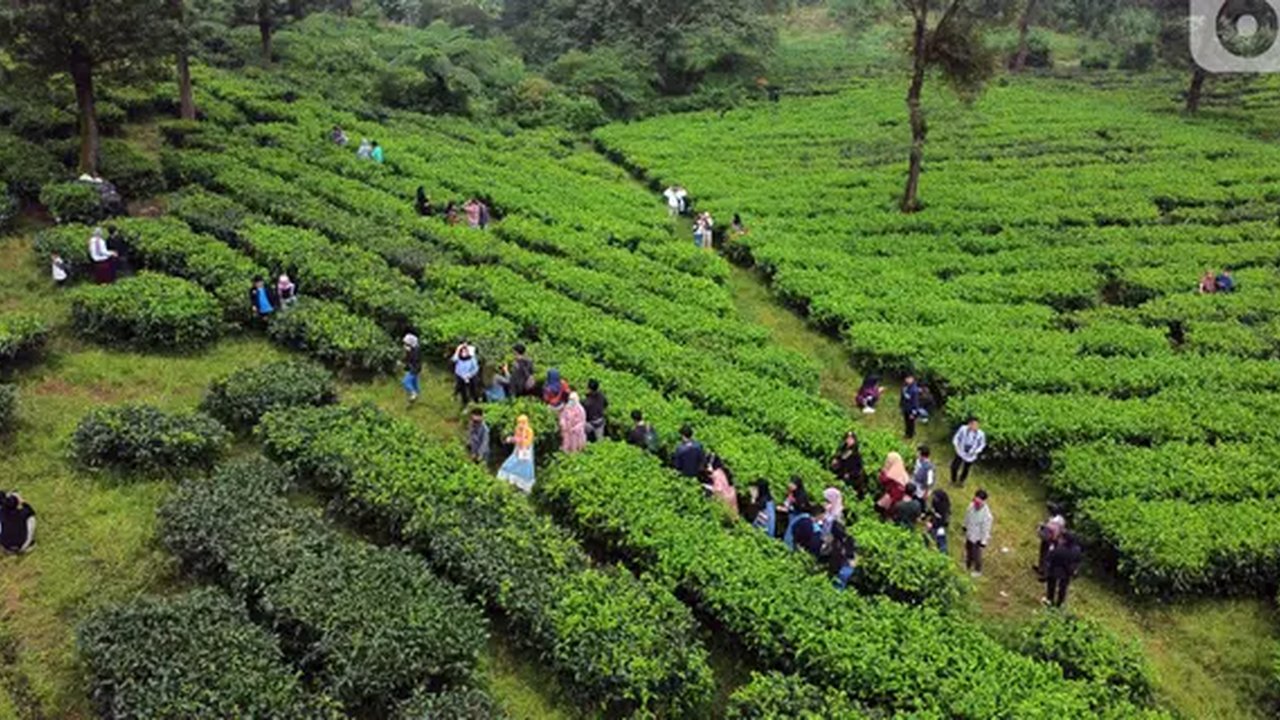 Setelah Macet Horor, Puncak Dilanda Banjir Hebat, Nasib Warga Lokal Makin Sengsara