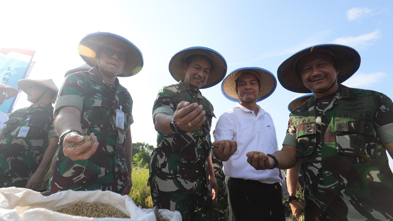 Pangkoopsudnas dan Wakasau Panen Raya Padi di Taman Edukasi Pertanian Lanud Halim Perdanakusuma