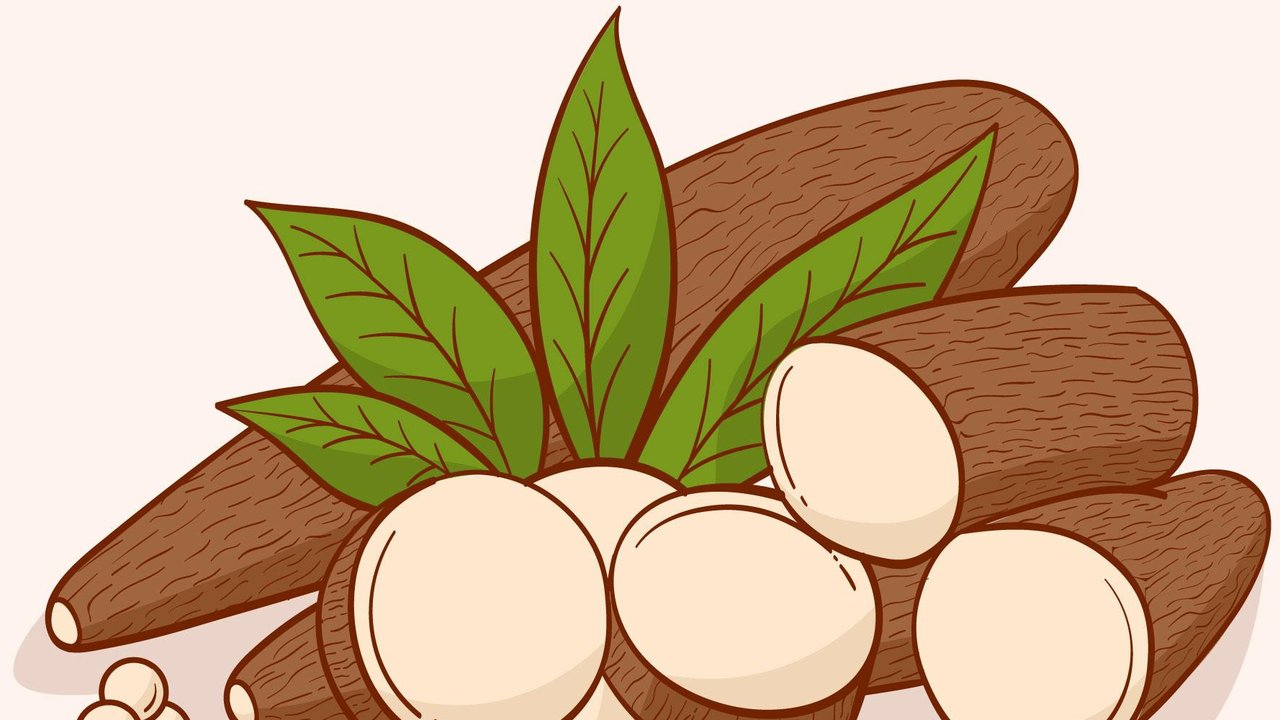 Ilustrasi singkong. (Photo on Freepik)