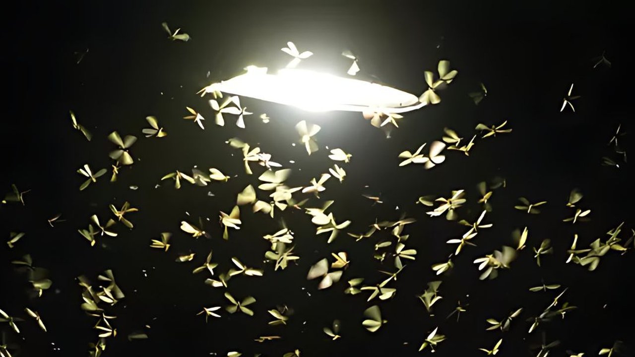 Bikin Merinding! Penampakan Kamar Mandi Dipenuhi Laron, Netizen: Malah Kayak Rumah Terbengkalai