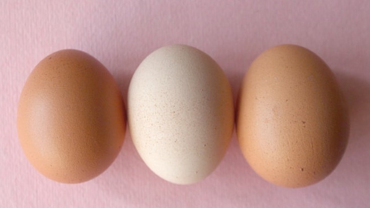 Ilustrasi telur rebus (dok.unsplash/ Maria Ionova)