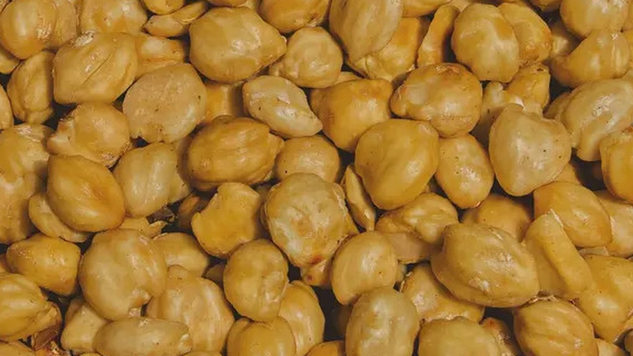 Bentuk kemiri yang serupa dengan hazelnut. (unsplash.com/@lightenup_cc)