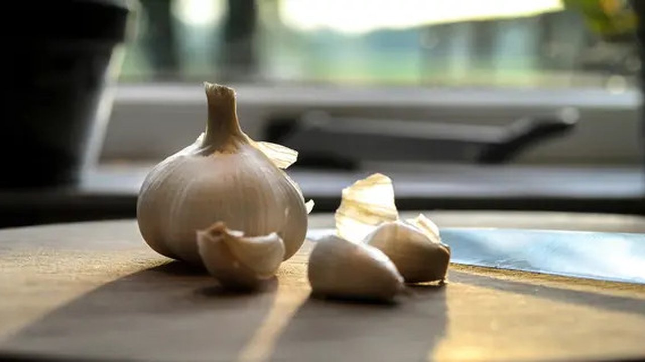 Manfaat Bawang Putih dan Madu (Pexels)