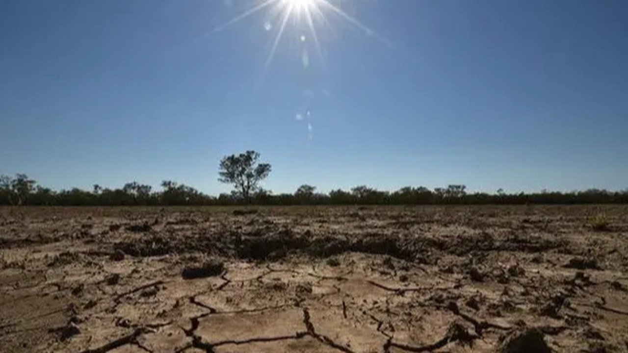 Ilmuwan Ciptakan Teknologi Pemanen Kabut Untuk Daerah Kering, Begini Cara Kerjanya