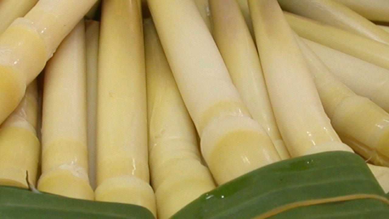 6 Resep Sayuran Rebung yang Lezat, Bisa Jadi Berbagai Sajian Menggugah Selera