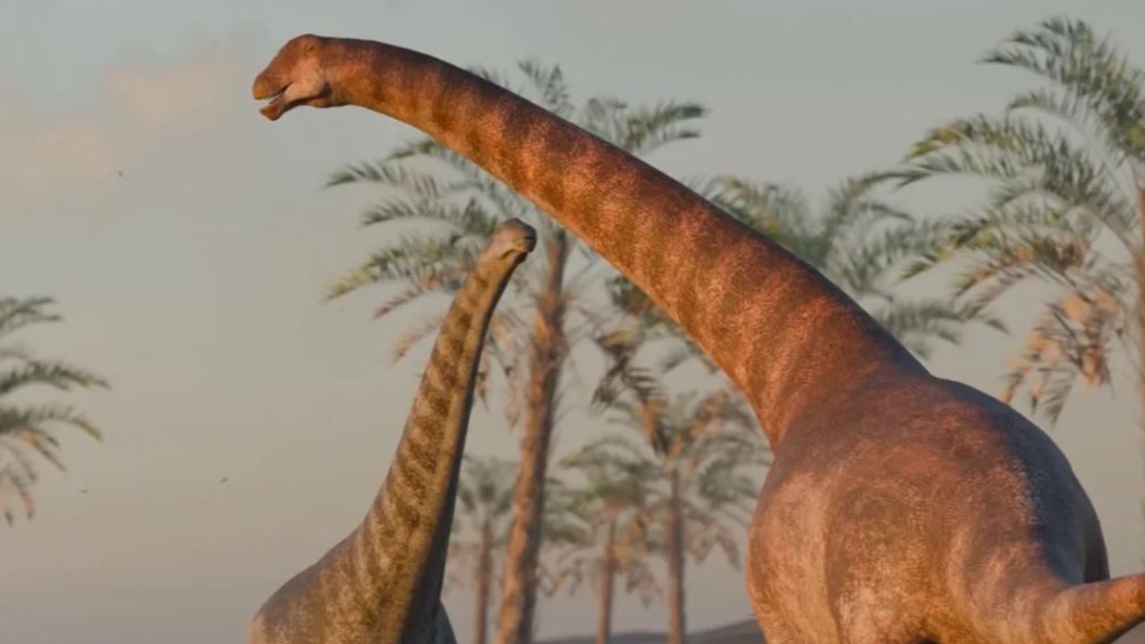 Ilmuwan Temukan Spesies Baru Titanosaurus dalam Tumpukan Fosil Berusia 78 Juta Tahun, Dikenal sebagai 'Raksasa Lembut'