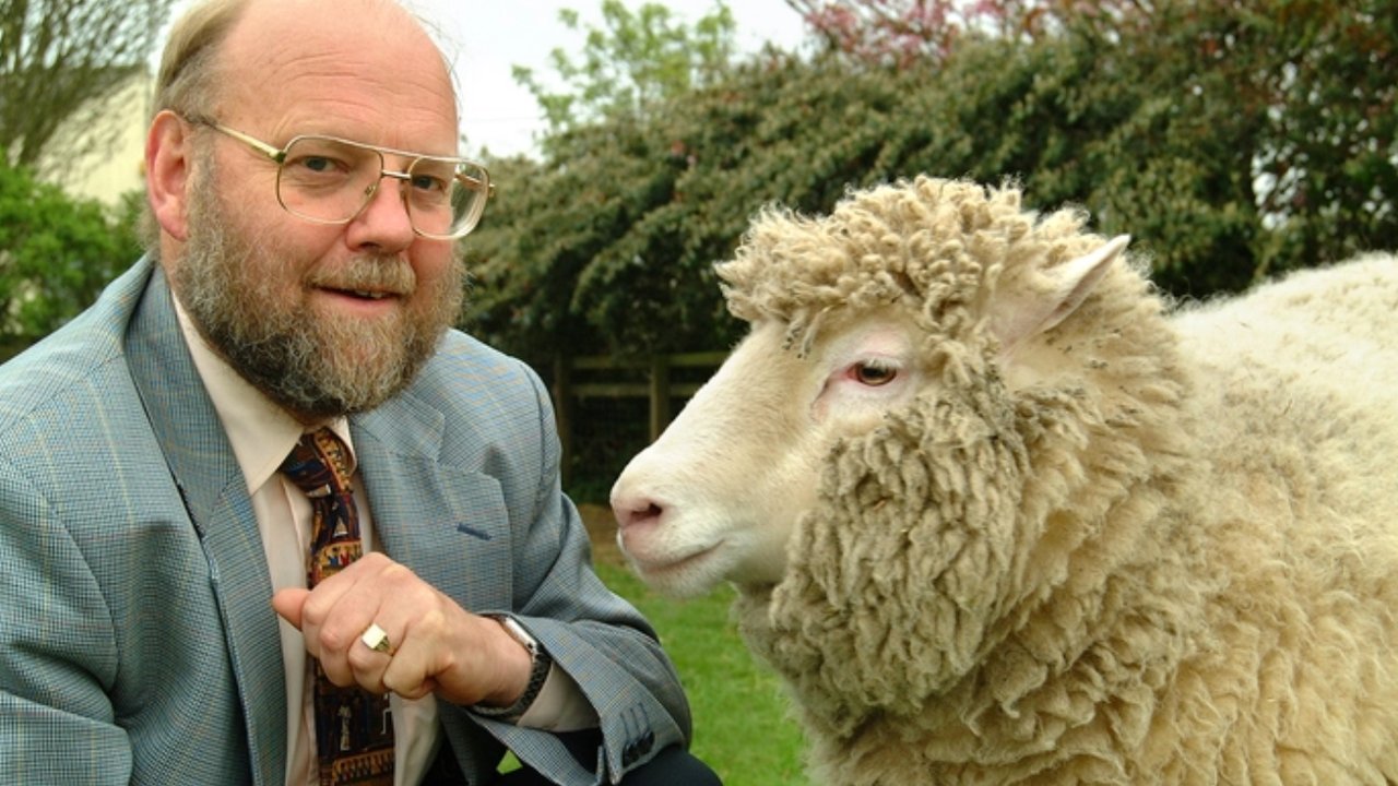 Domba Dolly: Fakta Mengejutkan di Balik Kloning Pertama di Dunia
