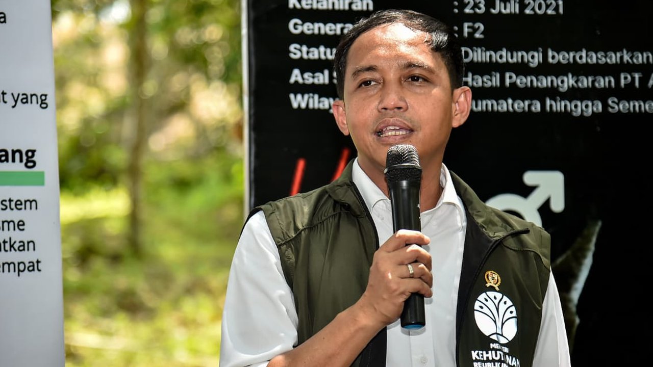 raja juli antoni