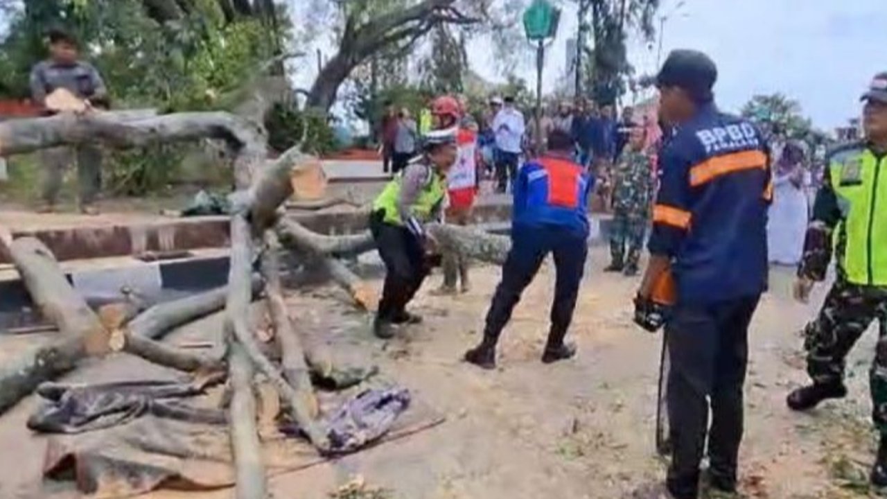Jumlah korban tewas akibat pohon tumbang saat persiapan Shalat Id di Alun-Alun Pemalang bertambah menjadi tiga orang, satu korban meninggal setelah sempat dirawat di rumah sakit.