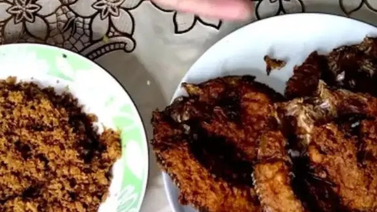 foto: YouTube/Revan Tv