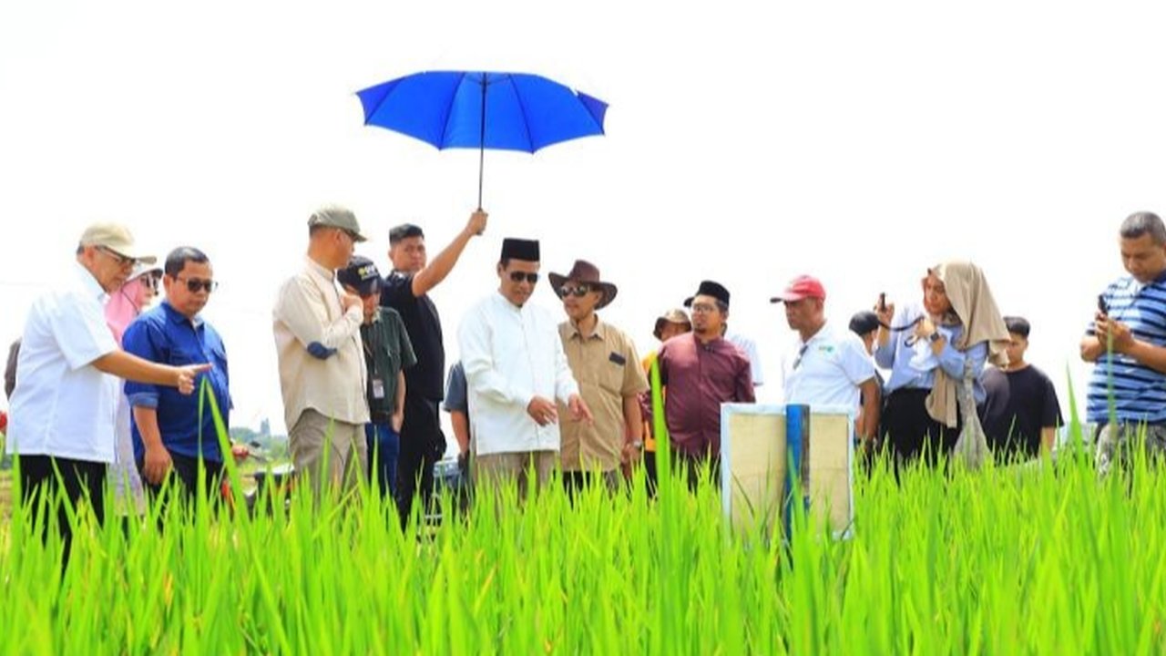 VIDEO: Mentan Amran Sehari Pecat 11 Dirjen: Bisa Tanda Tangan Triliunan Tak Benar, Negara Bisa Roboh!