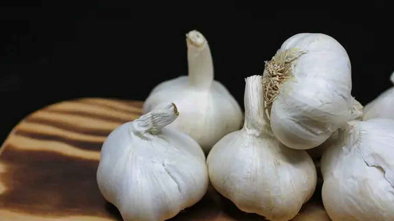 Ilustrasi Bawang Putih Credit: pexels.com/Mille