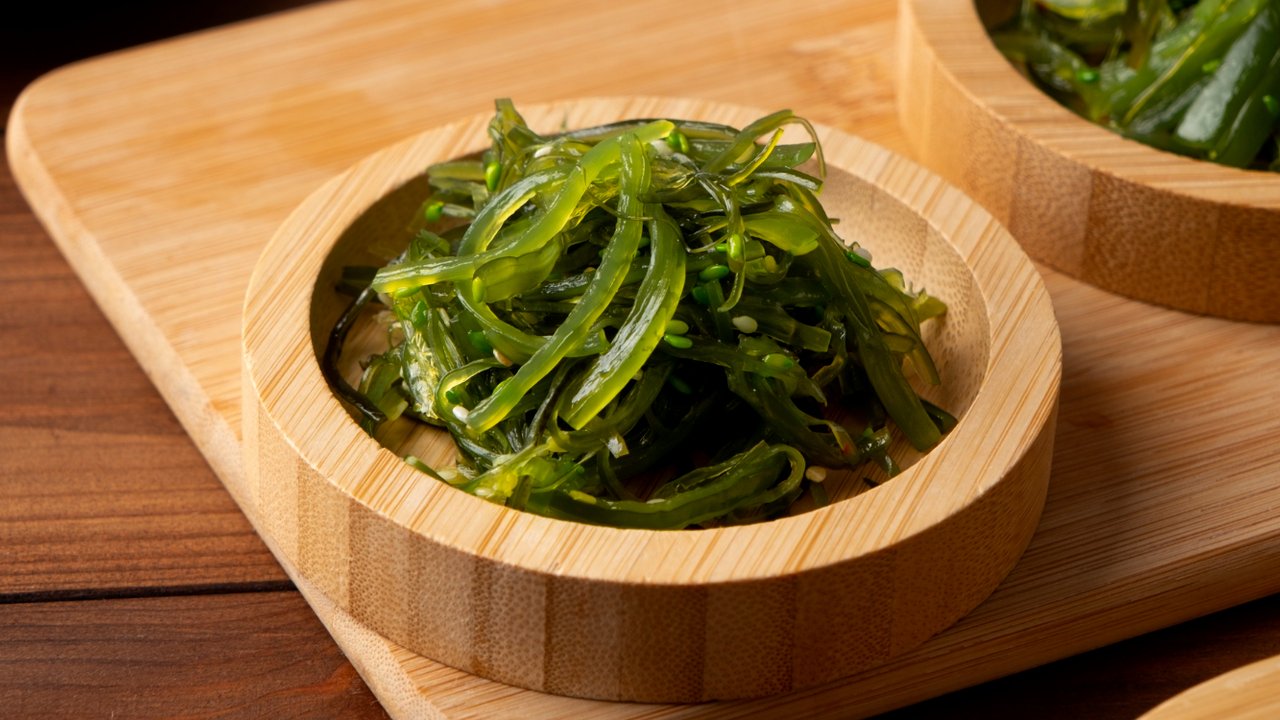 Ilustrasi Sea Vegetables