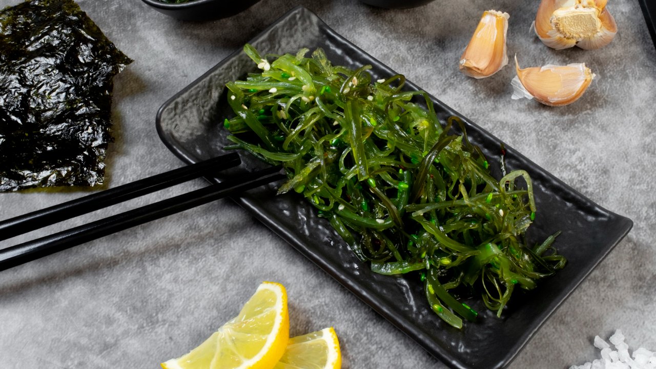 Ilustrasi Rumput Laut