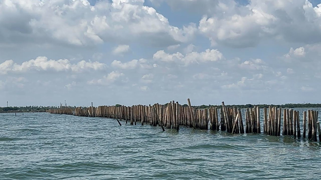 Terungkap, Ini Alasan Sisa Pagar Laut Tangerang Tak Kunjung Dibongkar