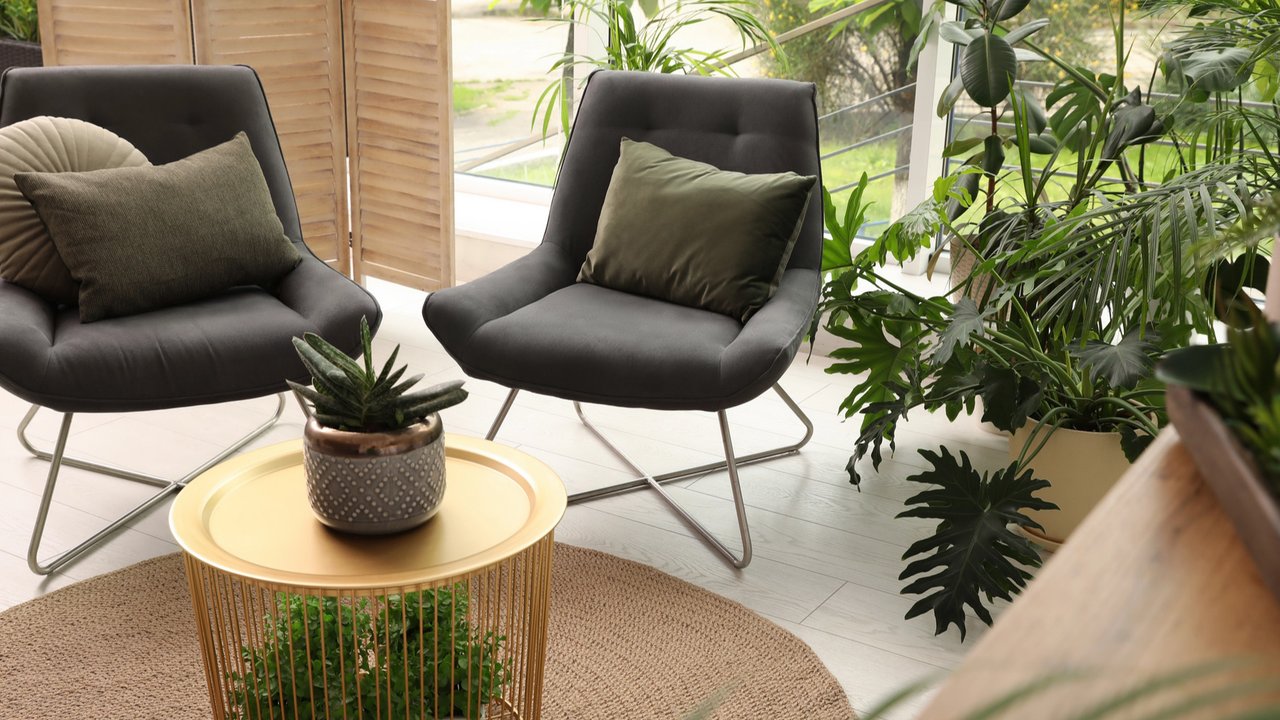 <p>Taman dalam rumah. (c)NewAfrica/Depositphotos.com</p>