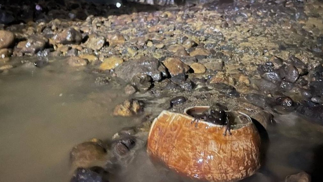 Temukan Ruangan Rahasia di Dalam Gua, Arkeolog Kaget Setelah Lihat Isinya