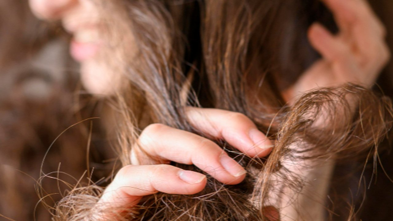 Butuh Protein atau Kelembapan? Ini Cara Mengenali Kebutuhan Rambut Anda