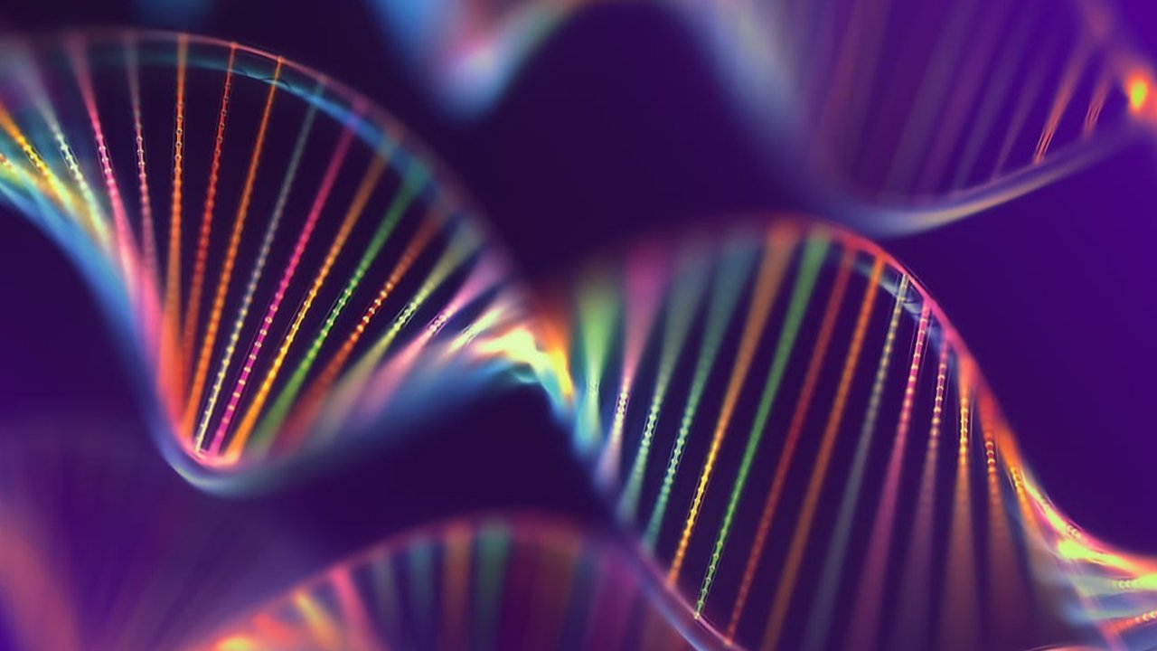 Bagaikan Cerita Sinetron, Ibu Mertua Minta Menantunya Tes DNA, Hasilnya Bikin Anak Kandungnya Syok