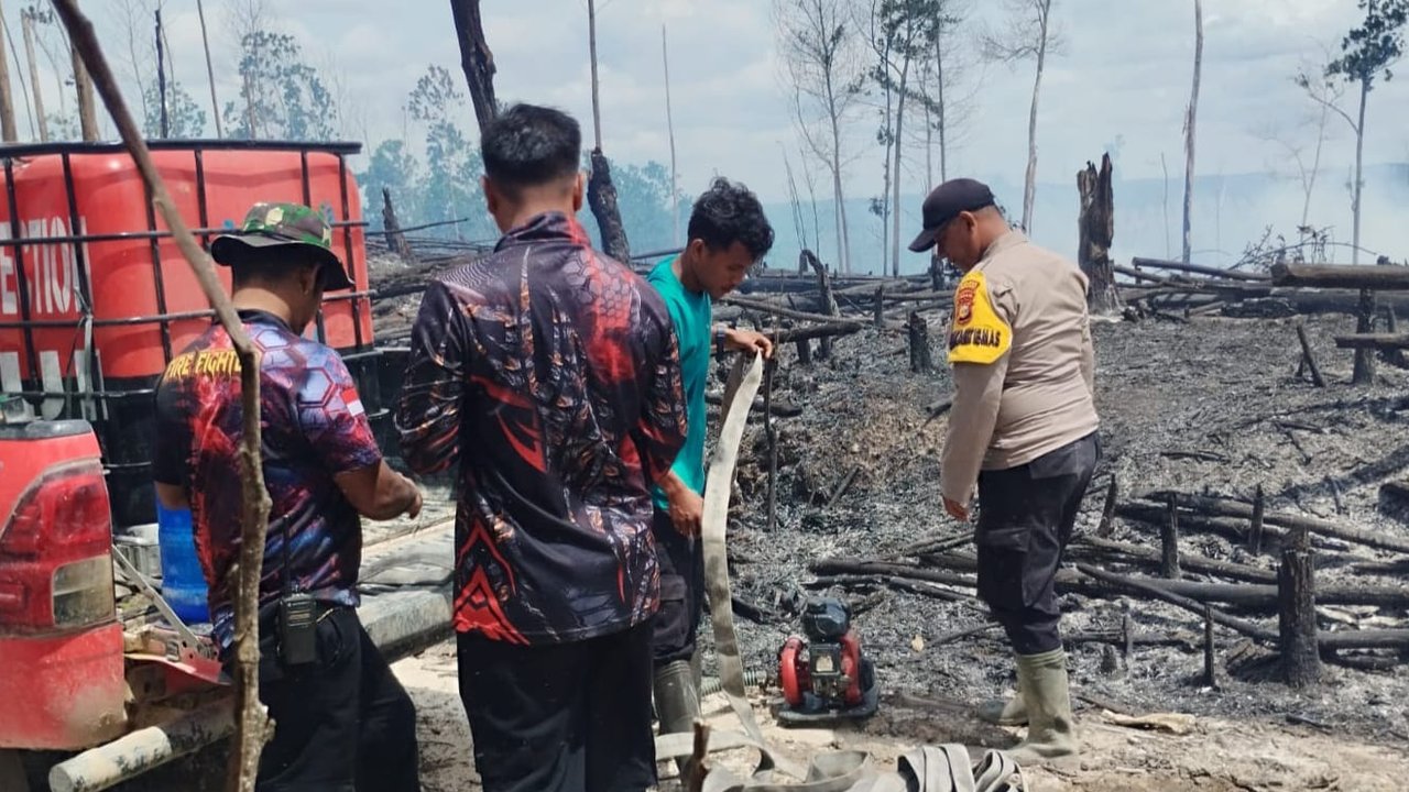 Kobaran Api Besar di Kawasan Habitat Gajah dan Harimau di Riau, Terbakar atau Dibakar?