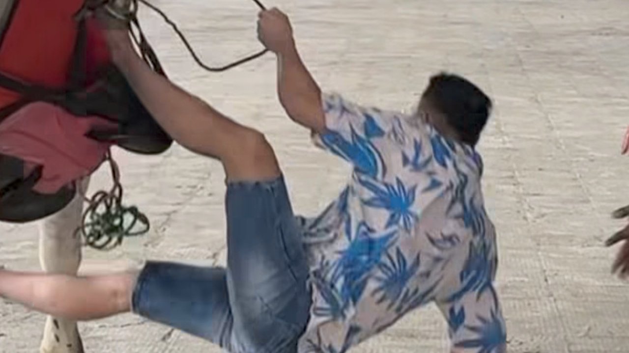 Detik-detik Raffi Ahmad Jatuh dari Sapi 'Sakit lalu Kuat Lagi'