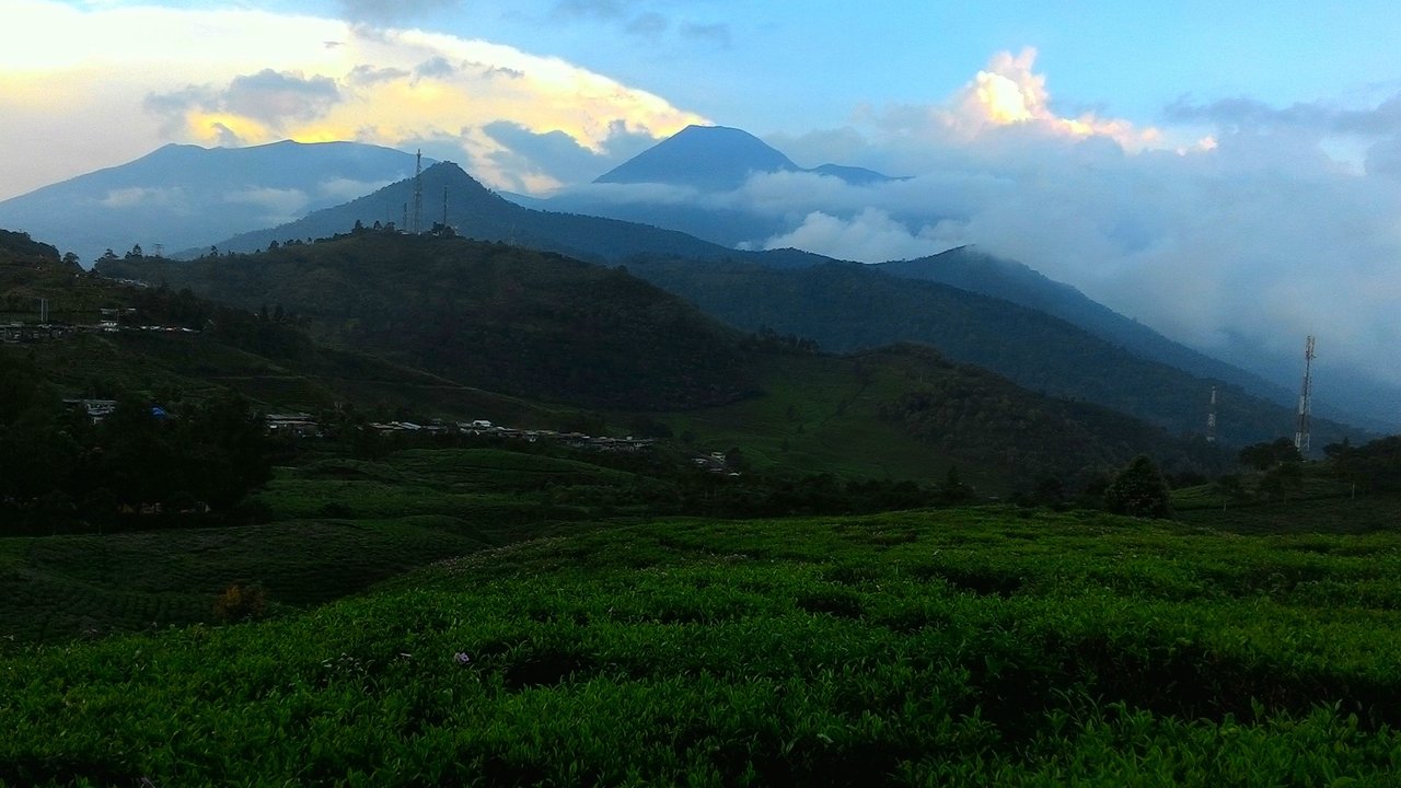Jalur Pendakian ke Gunung Gede-Pangrango kembali Dibuka, Pendaki Dilarang Dekati Kawah Wadon