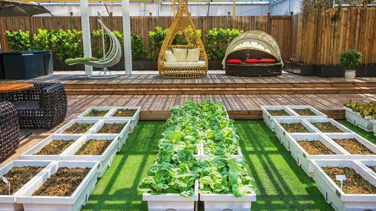 Ilustrasi Rooftop Garden