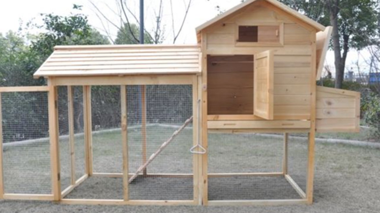 ilustrasi kandang ayam minimalis