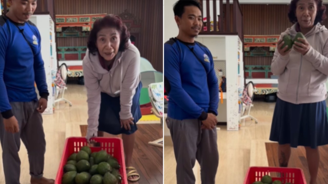 Tak Lagi Menjabat Menteri, Eks Srikandi Jokowi Kini jadi 'Petani' Baru Panen Alpukat dan Melon